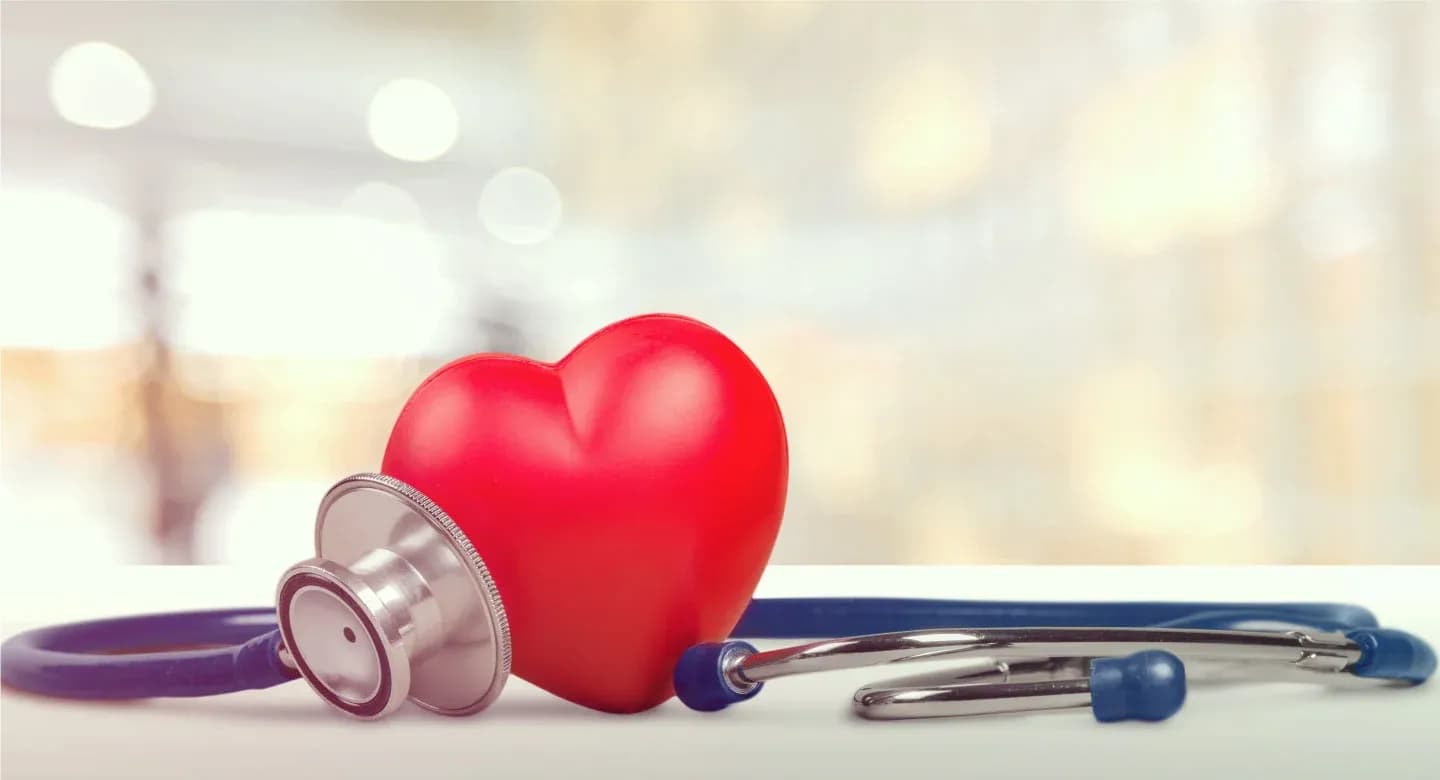 Differentiating vitamins from proteins: Their roles in the body